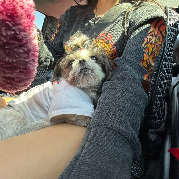 meet your posher, mai - Picture 1 of 1